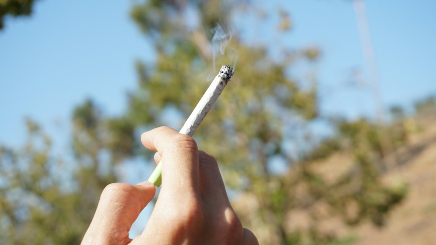 W przeddzień COP 10 międzynarodowy zespół naukowców opracował raport podsumowujący dotychczasową politykę FCTC w kwestii ograniczania palenia tytoniu.