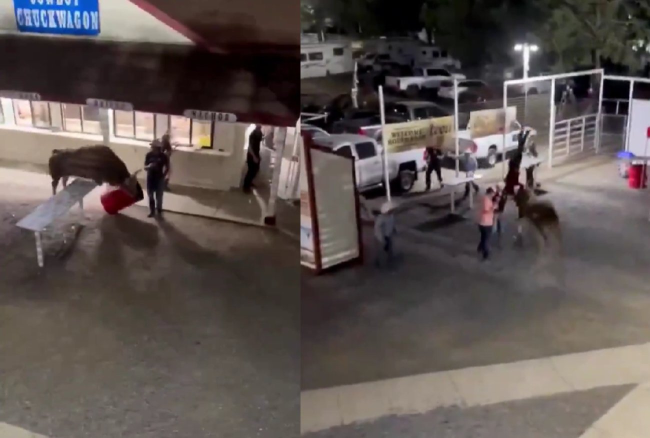 USA. Rozwścieczony byk taranował ludzi. Do sieci trafiło nagranie.
