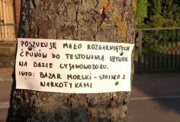 A wszystko w imię nauki!