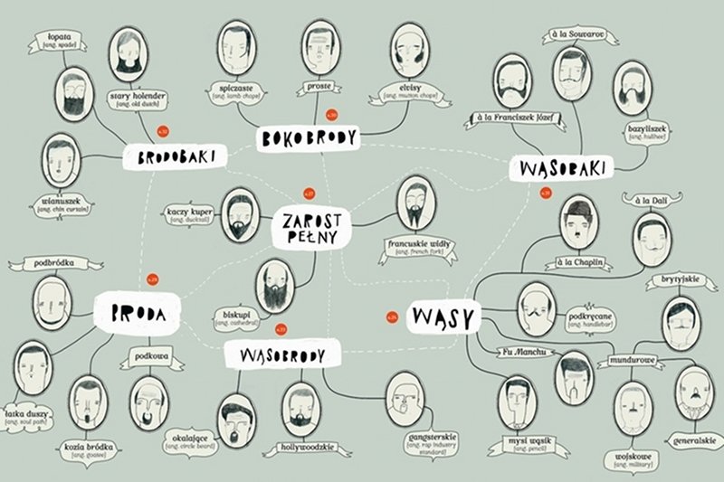 Klasyfikacja zarostu jak drzewo genealogiczne!