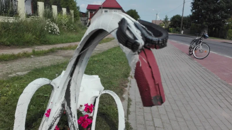 Uroda łabędzi z opon jest dyskusyjna. Chętnych jednak nie brakuje.