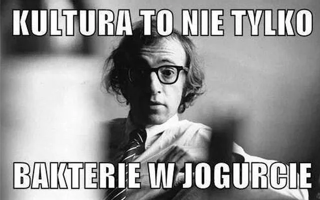 Cytat z Allena