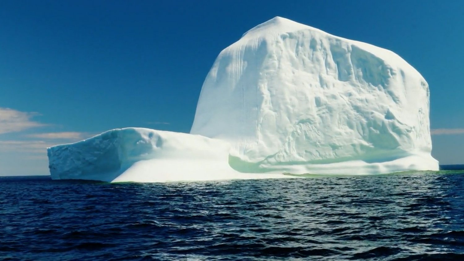 Prof. Malinowski o postępujących zmianach klimatu. Polsce grozi deficyt wody i wzrost cen żywności.