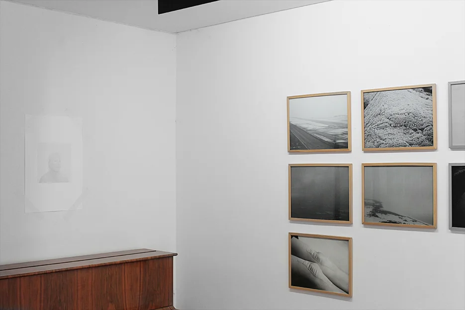 Plateau, Lena Dobrowolska / Galeria Czułość