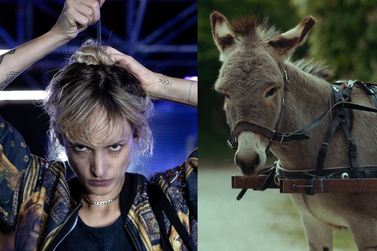 W dniach 16-27 maja odbył się Festiwal Filmowy w Cannes. Z tej okazji platforma CANAL+ przygotowała dla wielbicieli/wielbicielek dobrego kina festiwalową ofertę filmów, które były pokazywane podczas poprzednich edycji prestiżowej imprezy filmowej.