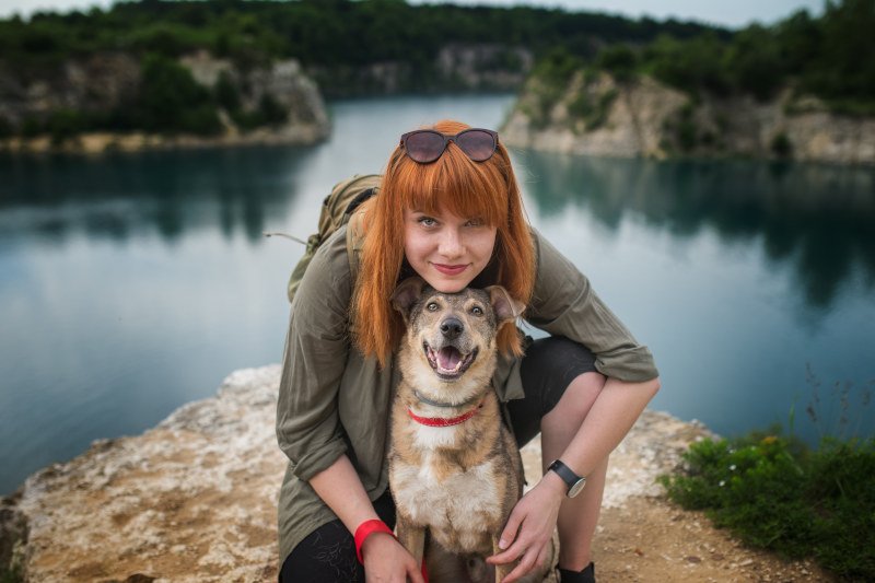 Jeśli nie możemy liczyć na pomoc znajomych, zawsze pozostaje opcja opłacenia pobytu psa w hotelu dla zwierząt.