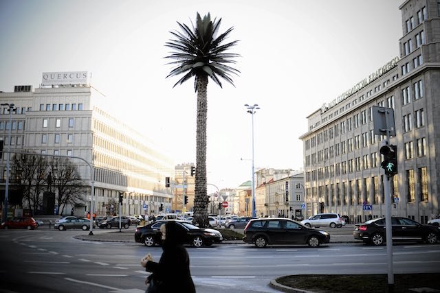 Palma Joanny Rajkowskiej w centrum Warszawy. Nowy symbol miasta kończy 12 lat.