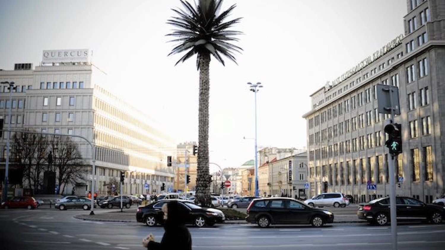 Palma Joanny Rajkowskiej w centrum Warszawy. Nowy symbol miasta kończy 12 lat.