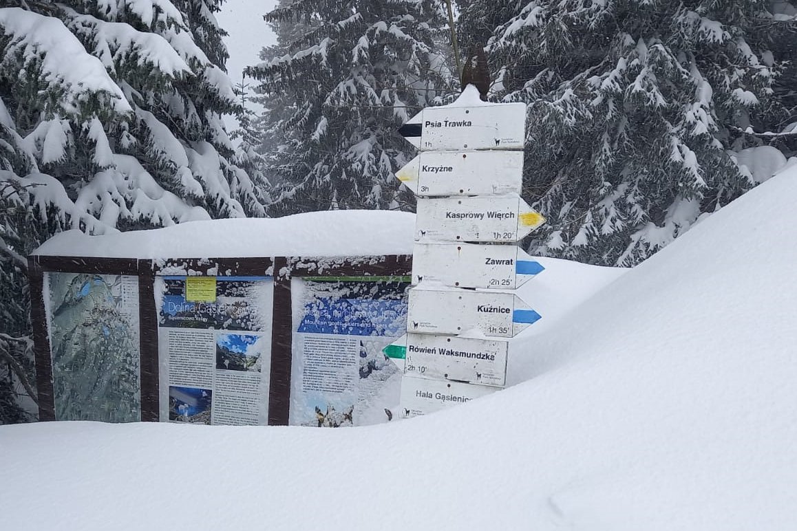 Cztery lawiny w Tatrach. Zeszły w pobliżu Morskiego Oka