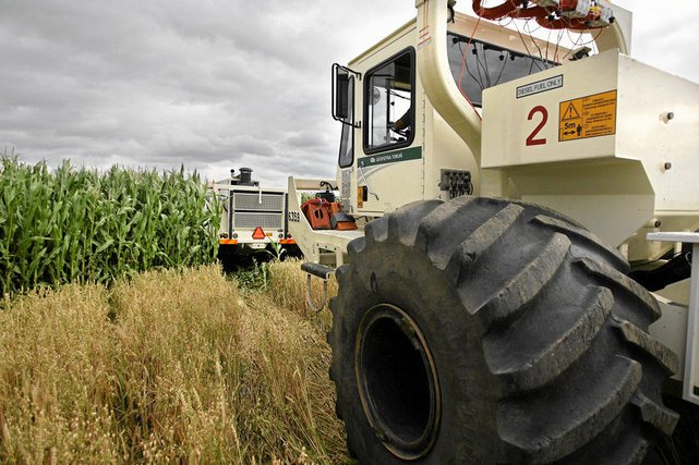 Kara dotyczy okresu od 2007-2008 roku.