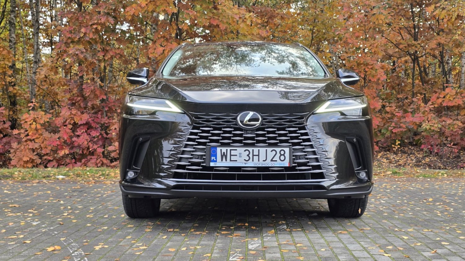 Kiedy bogolski vibe przekroczy skalę. Czy warto kupić RX-a w Omotenashi?