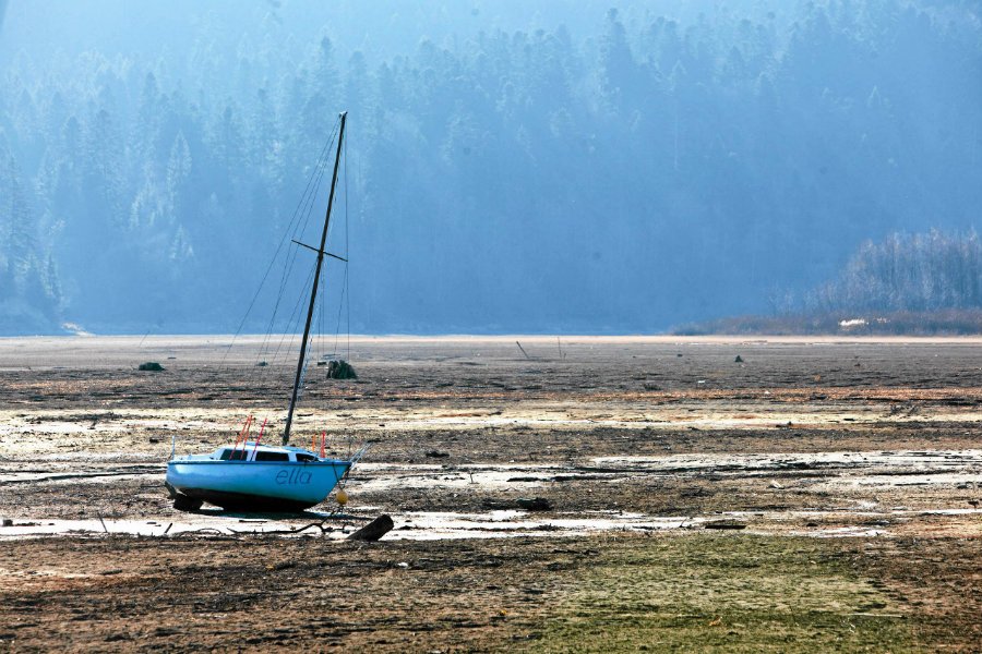Susza ma być najbardziej dotkliwa od 50 lat. Ostrzega przed tym minister gospodarki morskiej i żeglugi śródlądowej.