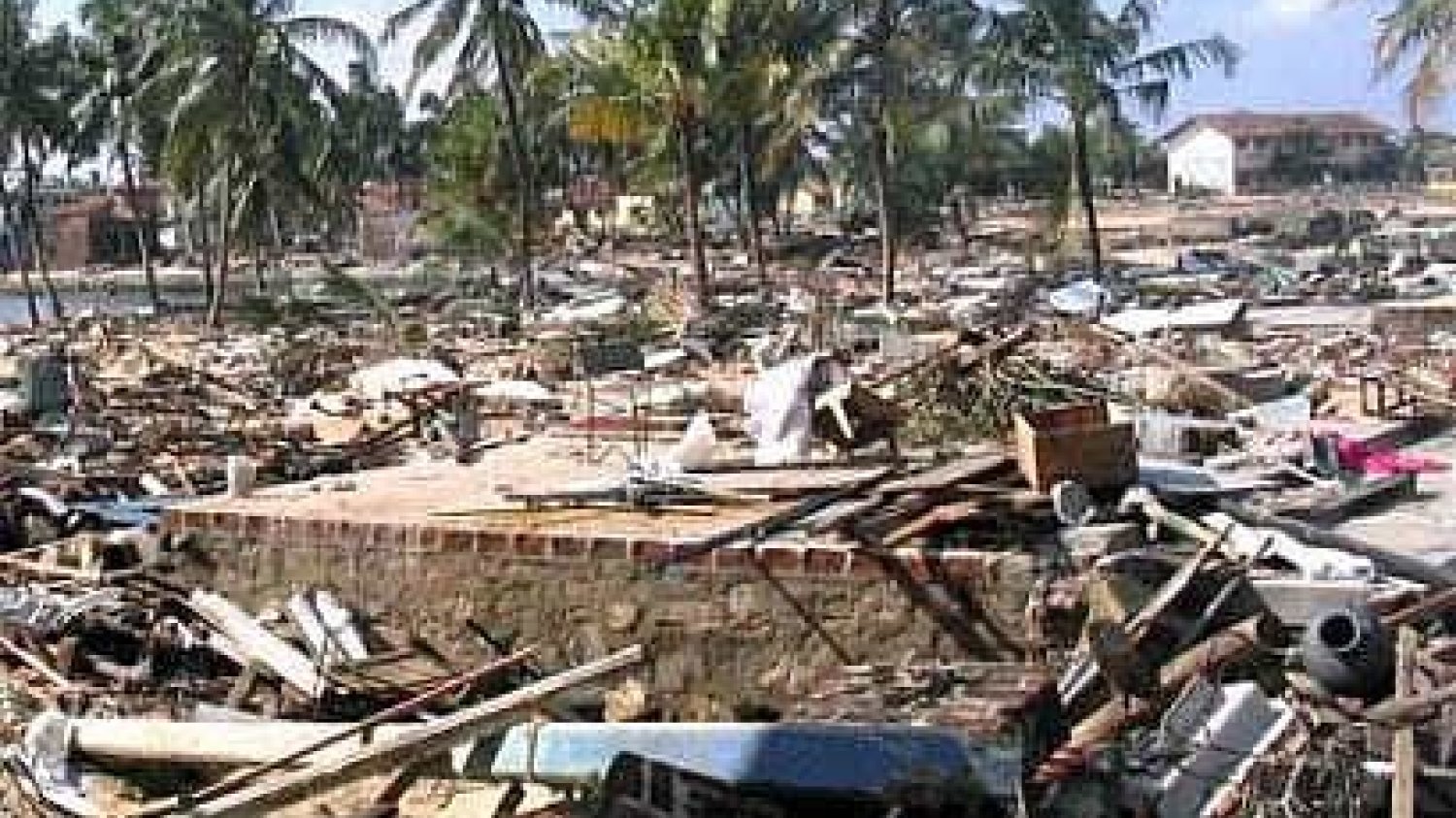 Tsunami w grudniu 2004 roku pochłonęło ćwierć miliona ofiar w Indonezjii, na Sri Lance, w Indiach i Tajlandii.