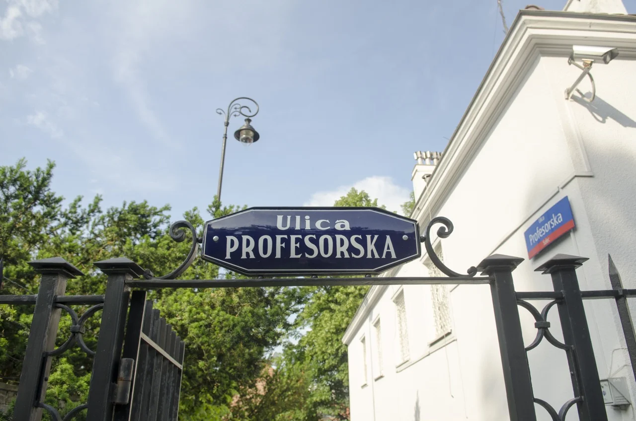 Furtka, którą się wchodzi na uliczkę Profesorską.