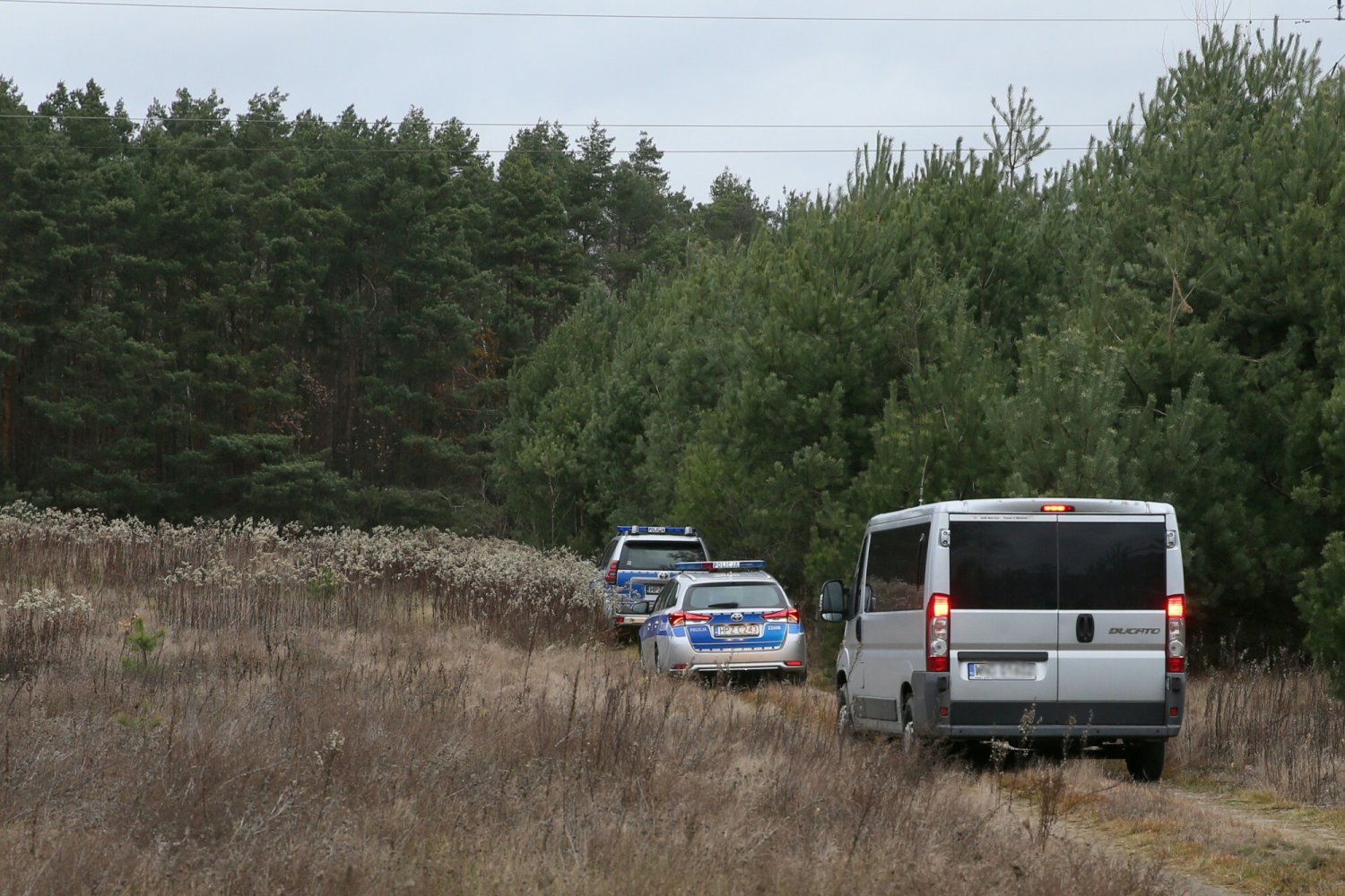 Ojciec wywiózł dzieci do lasu i je tam zostawił.