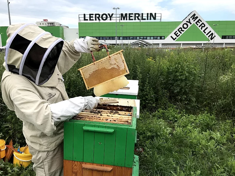 Pasieki Pszczelarium przy sklepie Leroy Merlin w Warszawie