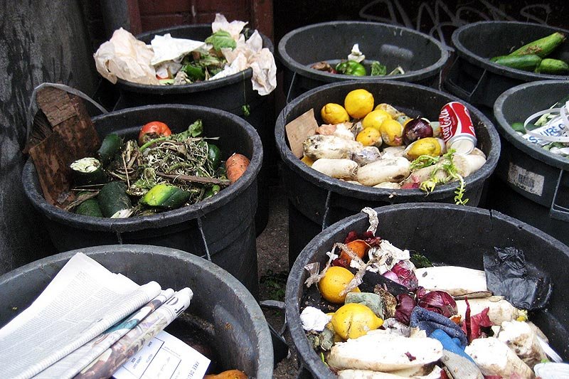 Każdego dnia na śmietnik trafiają tony jedzenia