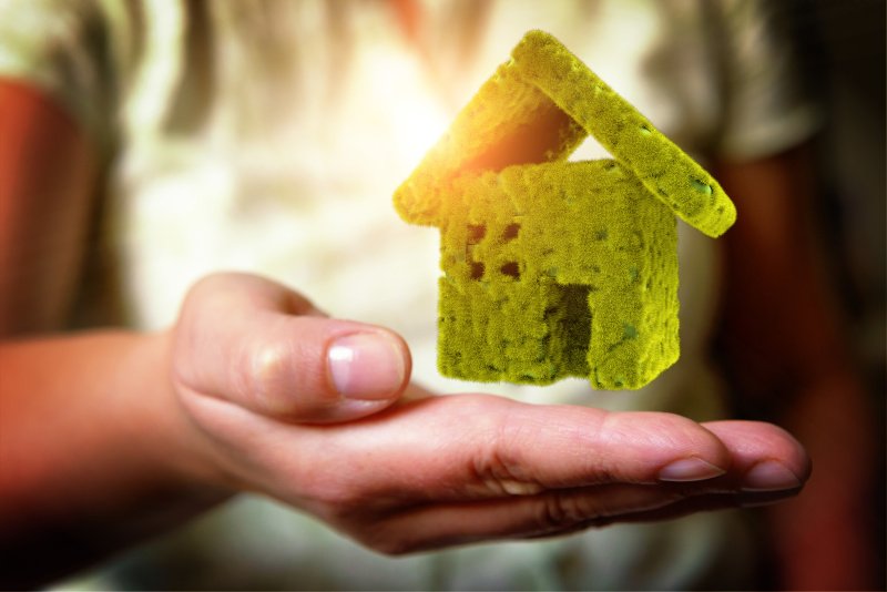 Ekologia wkracza także w świat ubezpieczeń!