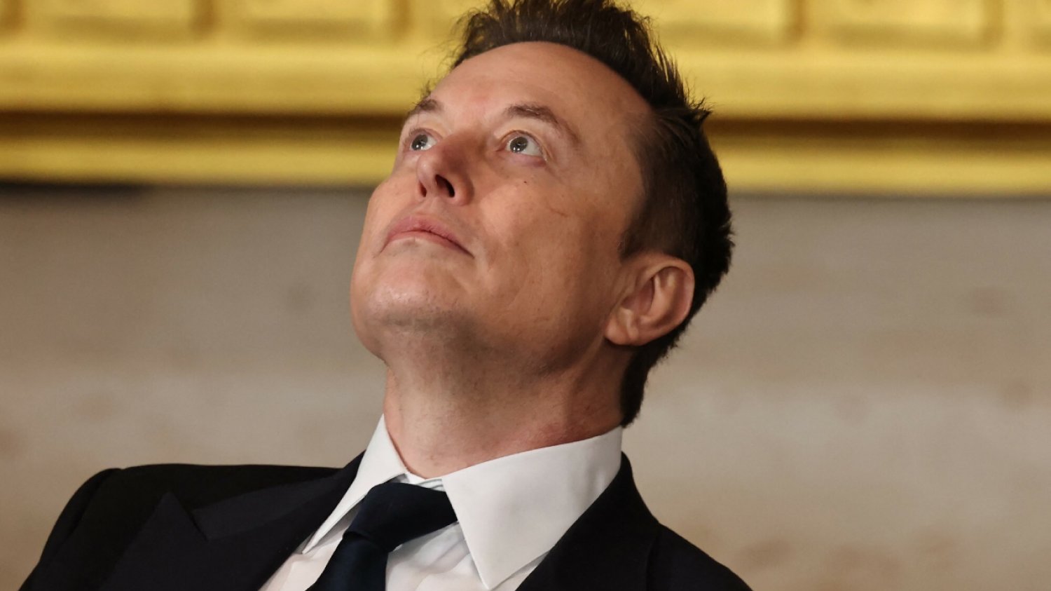 Musk chce wyjścia USA z NATO i ONZ. Zamieścił wymowny wpis na X.