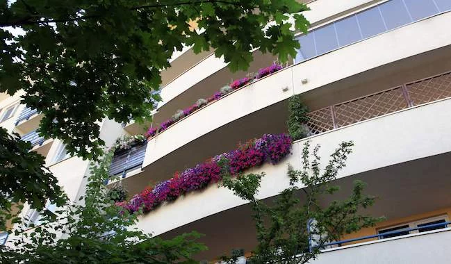 W Warszawie organizowany jest co roku konkurs na najpiękniejszy balkon. W zeszłym roku wygrał ten należący do Jarosława Jelonka.