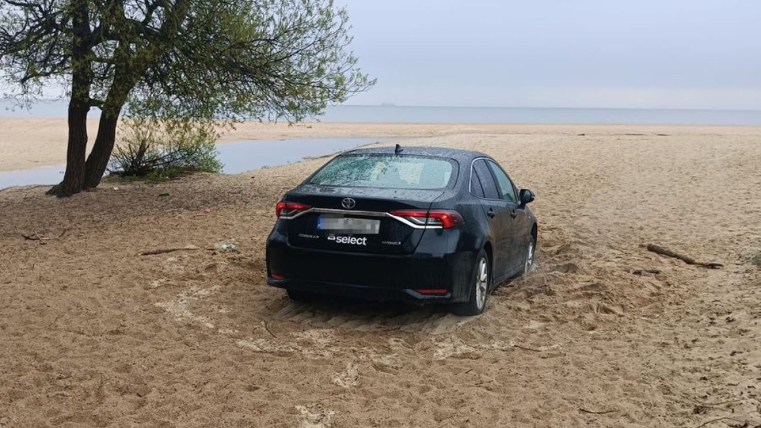 Gdańsk Jelitkowo. Gruzin wjechał samochodem na plażę