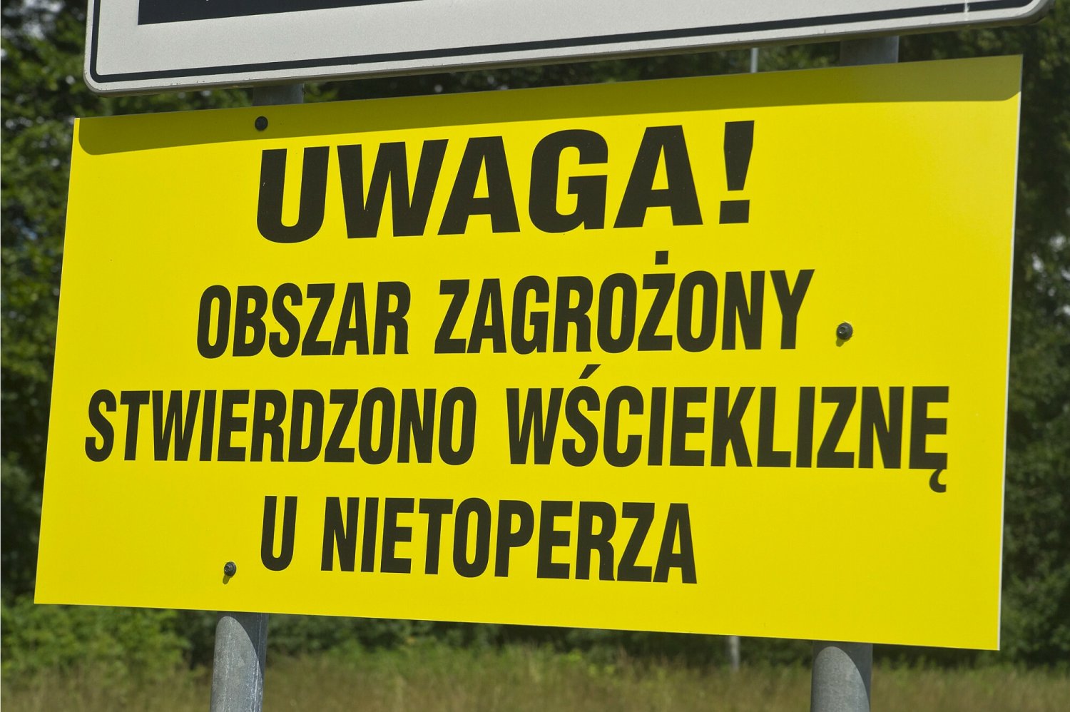 Zdjęcie jest ilustracją do treści.
