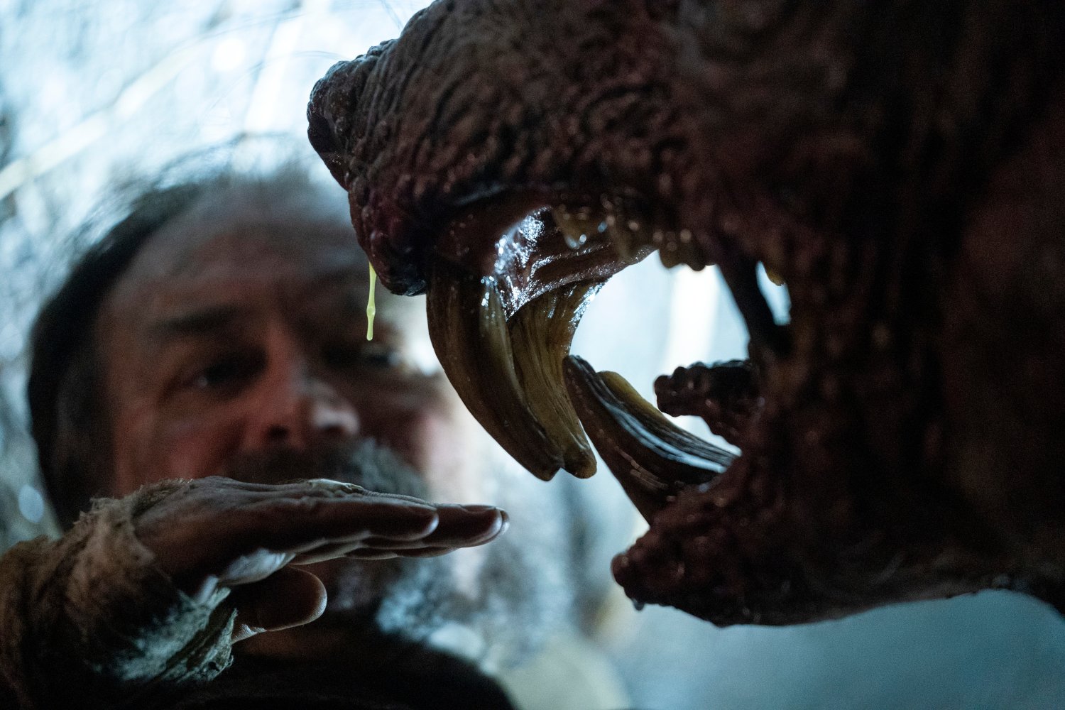 netflix filmy seriale pazdziernik 2022 lista del toro wielka woda