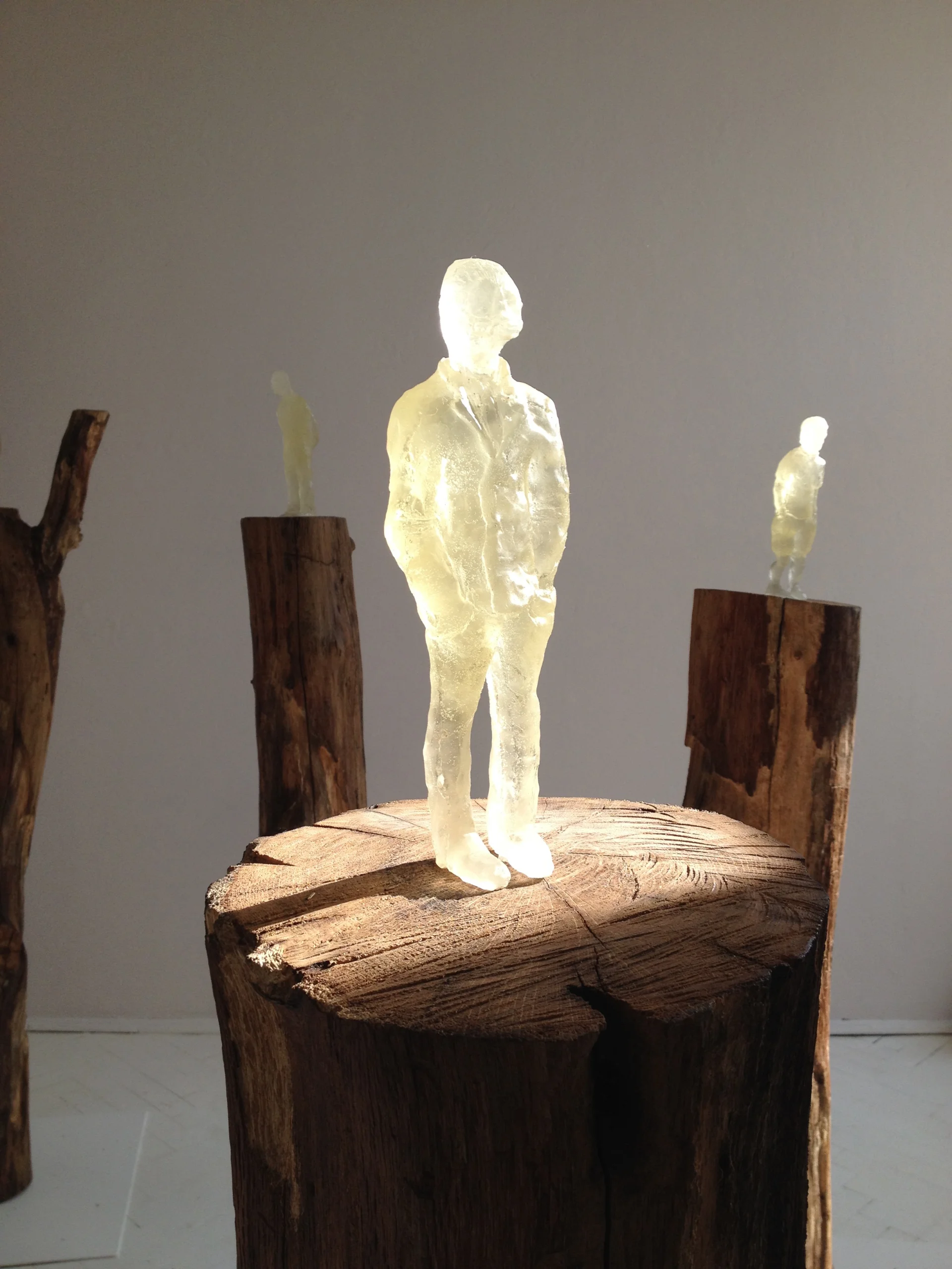 Zuzanna Janin
"SIEDMIU OJCÓW / SEVEN FATHERS", 2014
dąb, żywica epoksydowa, ołówek, bibułka / oak, epoxy resin, pensil, tissue paper