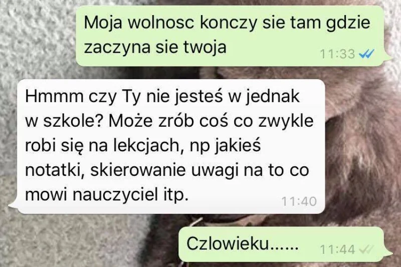 Eksperyment z sentencjami miał ciekawe wyniki