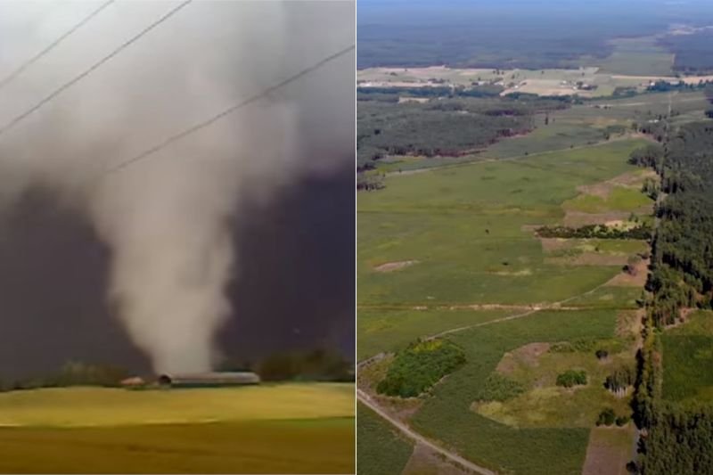 Zobacz, jak wyglądają teraz Bory Tucholskie osiem lat po przejściu trąby powietrznej.