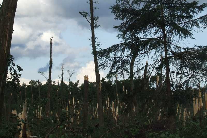 Zniszczenia w okolicach Łążka