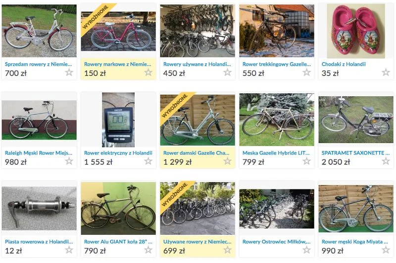 Ofert rowerów z holenderskim rodowodem nie brakuje, a ich ceny są przystępne dla każdego.