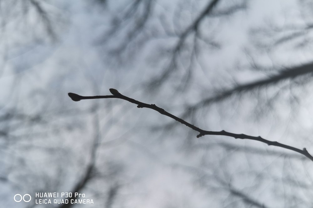 Zdjęcie wykonane smartfonem Huawei P30 Pro