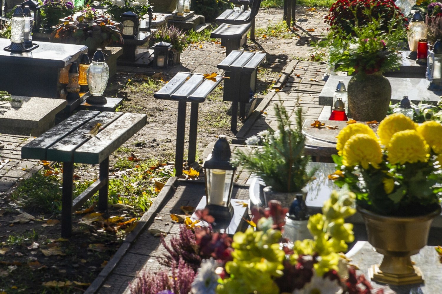 Cmentarz. Zdjęcie ilustracyjne.