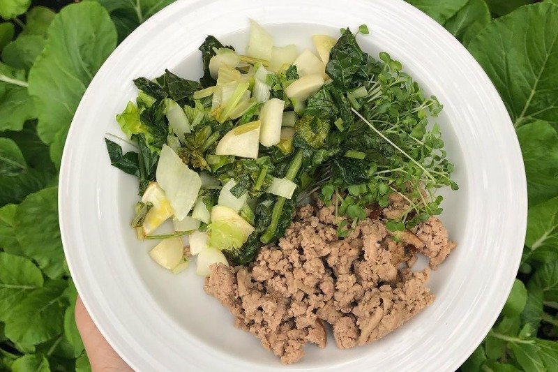 Peganizm łączy w sobie elementy diety paleo i wegańskiej