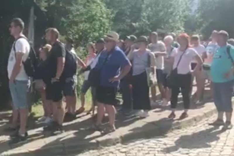 Kampania przeciwko transportowi i ubojowi koni zamieściła nagranie kolejki do wozów do Morskiego Oka.