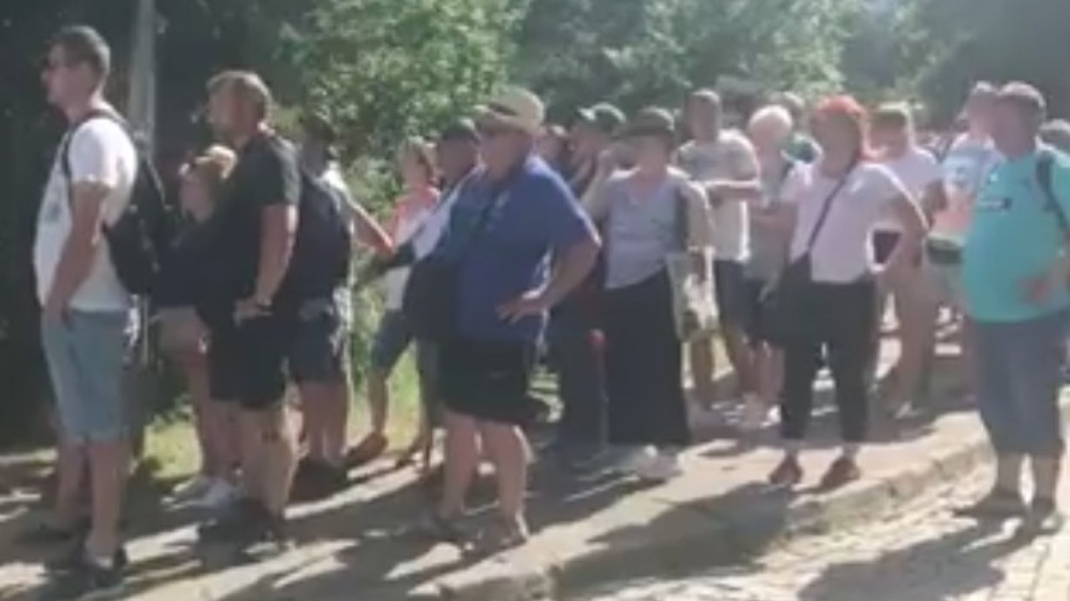 Kampania przeciwko transportowi i ubojowi koni zamieściła nagranie kolejki do wozów do Morskiego Oka.