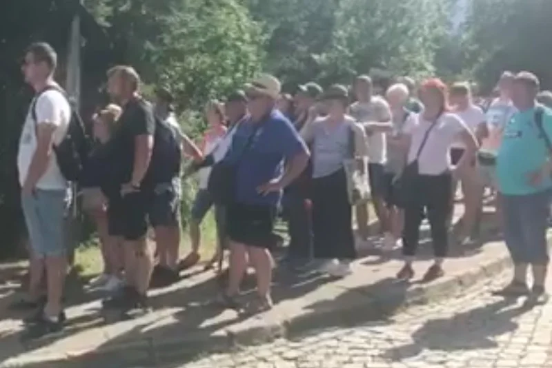 Kampania przeciwko transportowi i ubojowi koni zamieściła nagranie kolejki do wozów do Morskiego Oka.