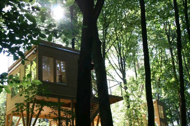 Domki na drzewach w Nałęczowie: Polacy zatęsknili za ciszą i spokojem, wolne miejsca w weekend dopiero za kilka miesięcy.