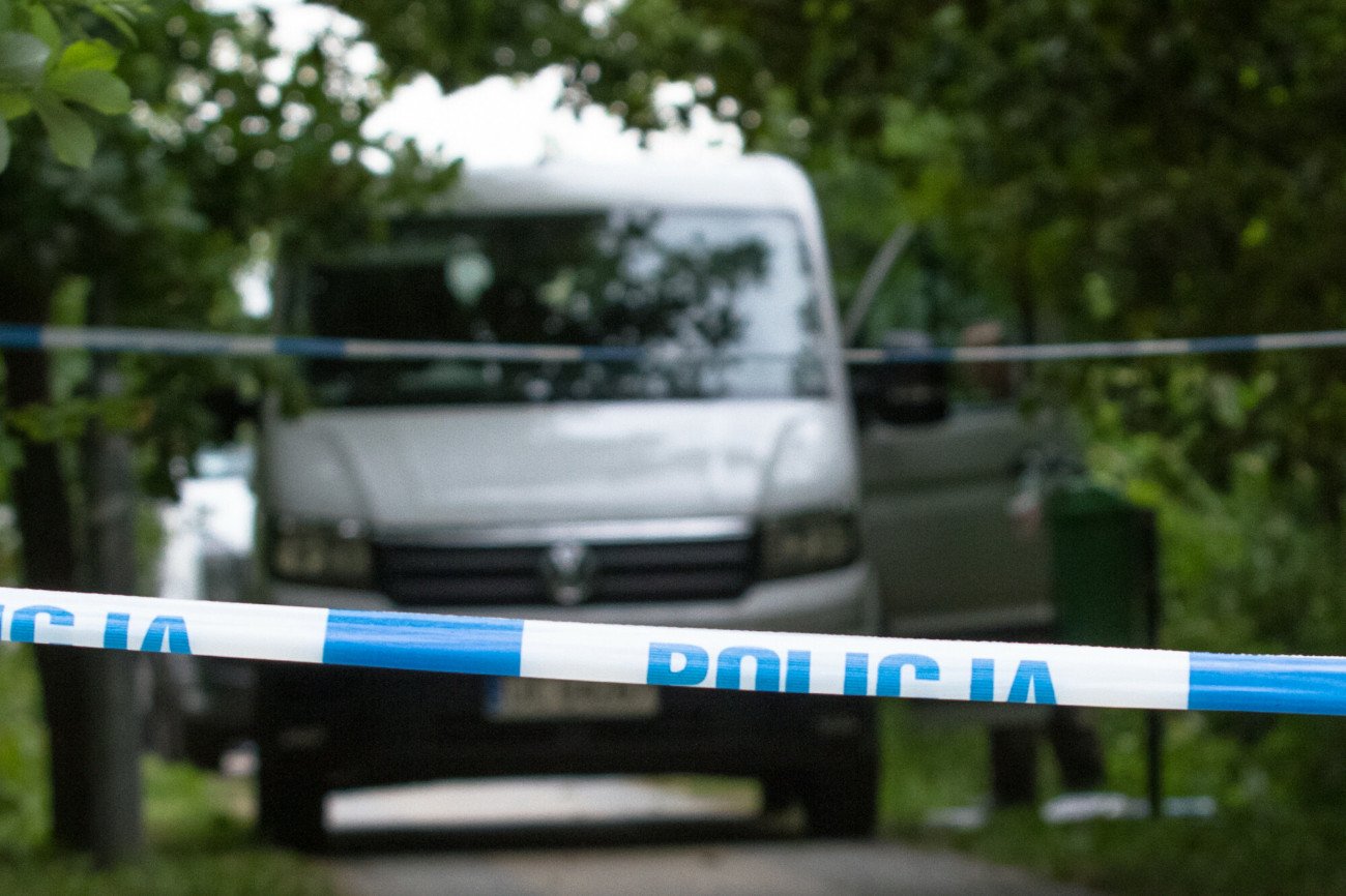 Zdjęcie jest ilustracją do tekstu.