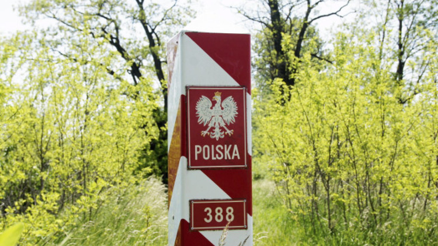 Prawie połowa młodych Polaków myśli o emigracji za lepiej płatną pracą. W ciągu najbliższego roku