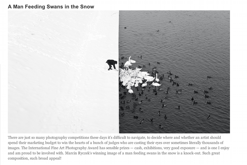 Światowy sukces Polaka. Fotografia "Człowiek karmiący łabędzie" robi furorę.