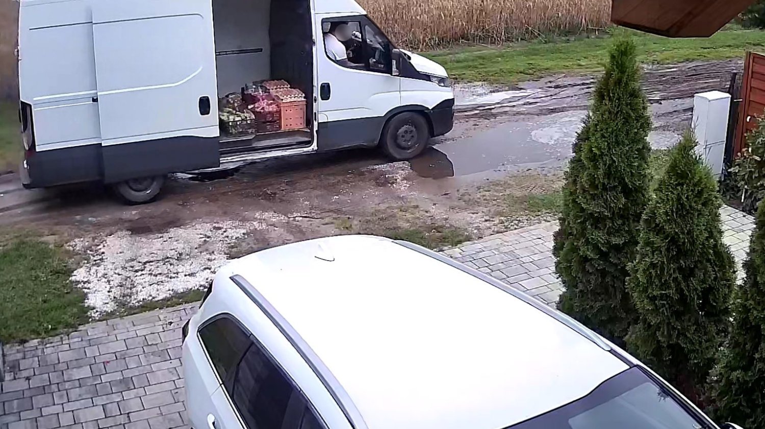 Sprzedawcy warzyw krążą po domach