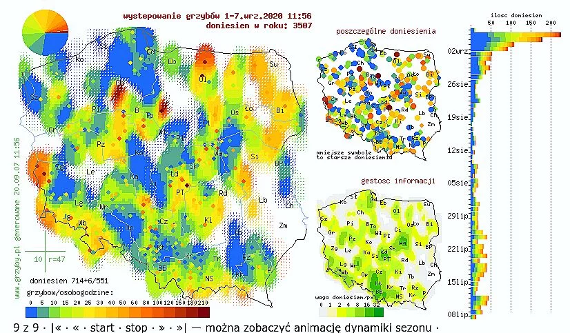Grzyby 2020: MAPA wg stanu pomiędzy 1 a 7 września w Polsce. Gdzie zbierać grzyby? W jakich miejscach jest ich najwięcej?