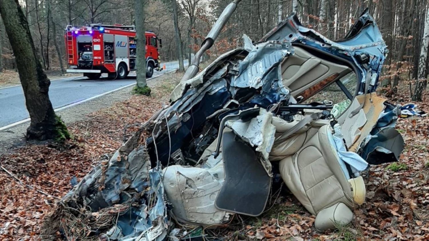 15-latek zabrał ojcu kluczyki do jaguara. Rozbił się na drzewie z kolegą