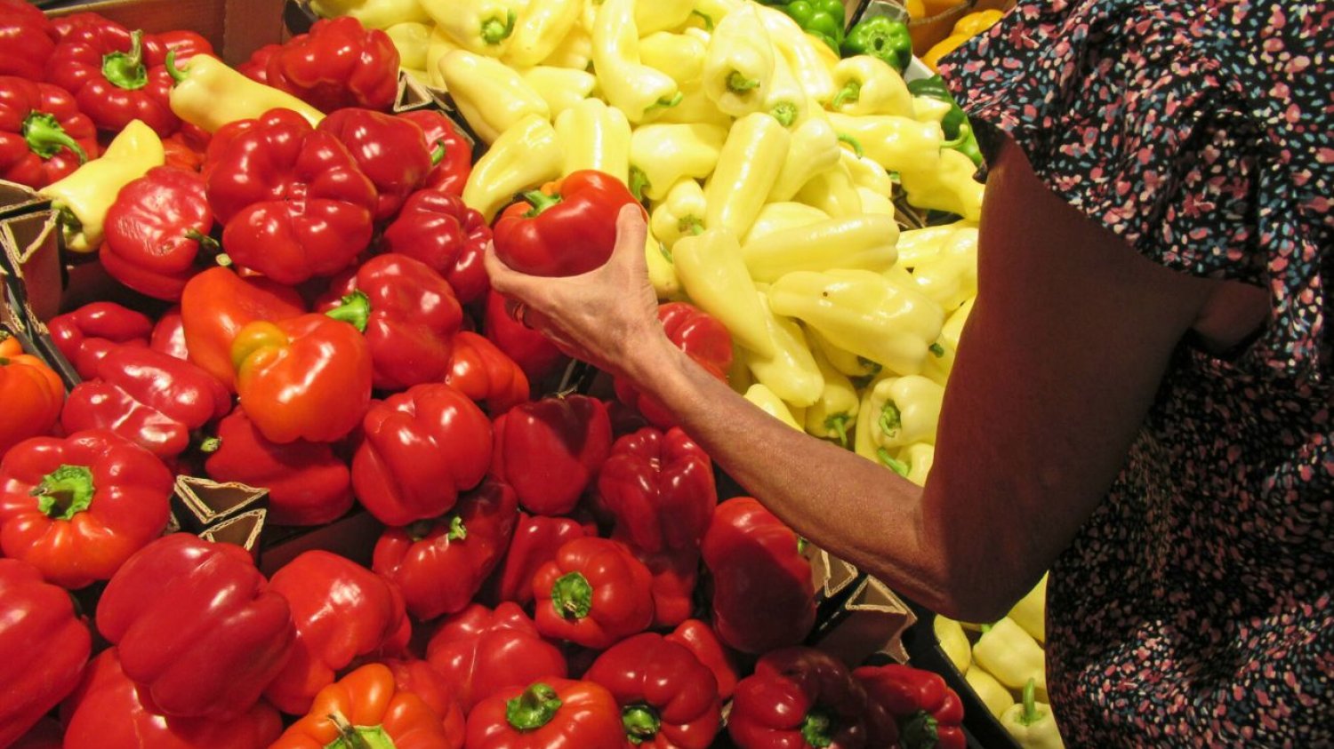 Ten produkt jest dziś na wagę złota. Ceny poszybowały w górę. Ceny czerwonej papryki wzrosły nie tylko w Polsce. Oto, co jest przyczyną.