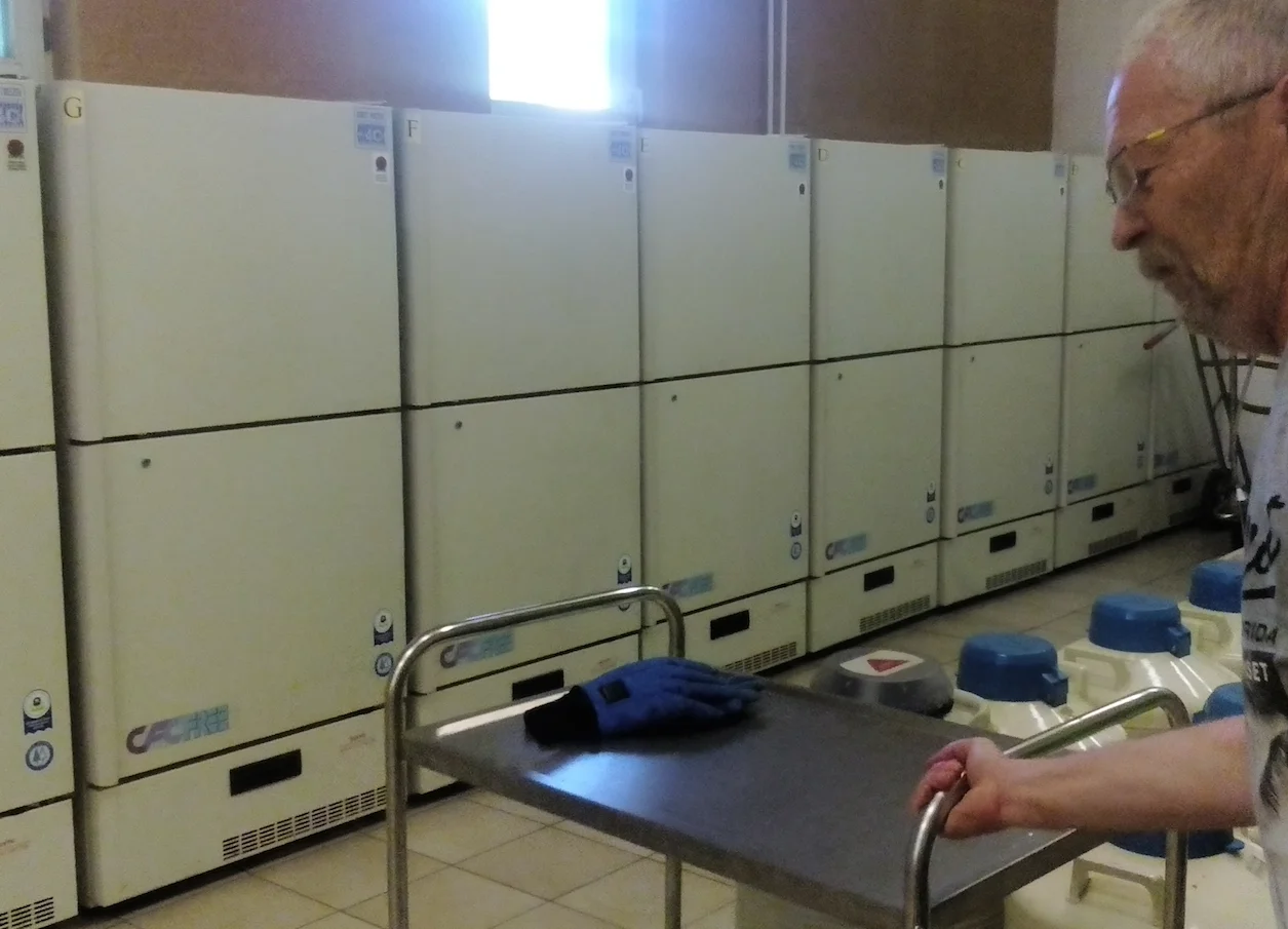 Próbki nasion przechowuje się w wielkich lodówkach.