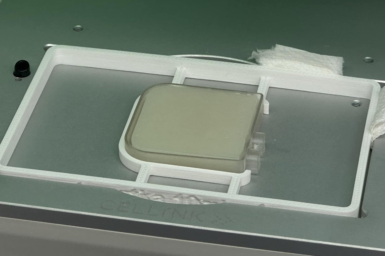 To wydrukowana w 3D bioniczna trzustka. Żywy organ zdolny do produkcji insuliny.