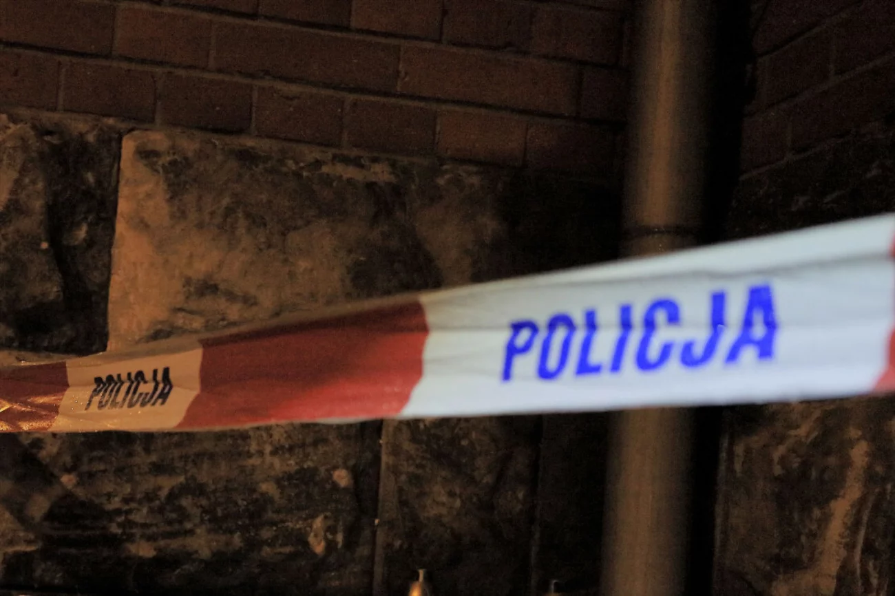 Zdjęcie poglądowe
