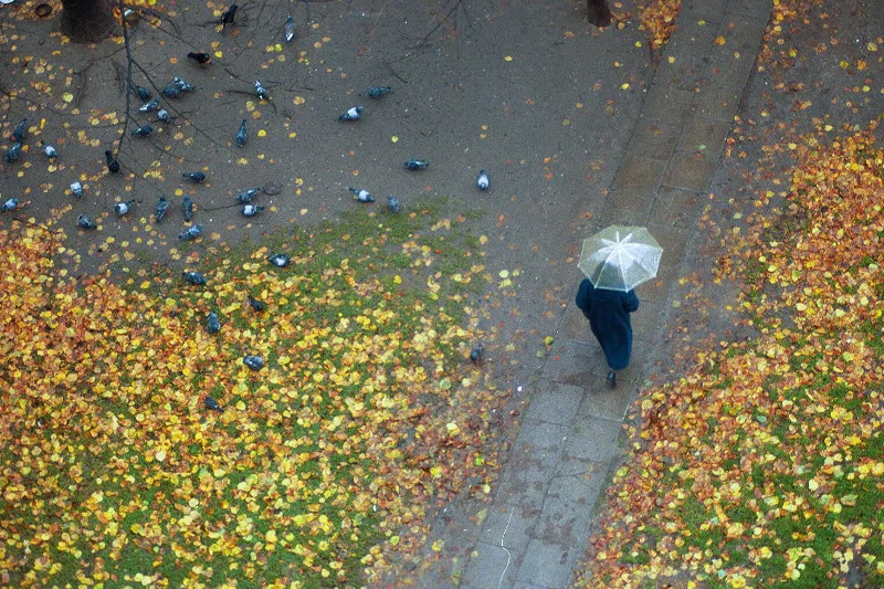 To koniec ciepłej jesieni.
